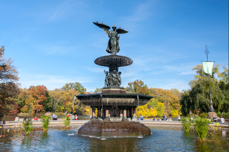 central park 4.png