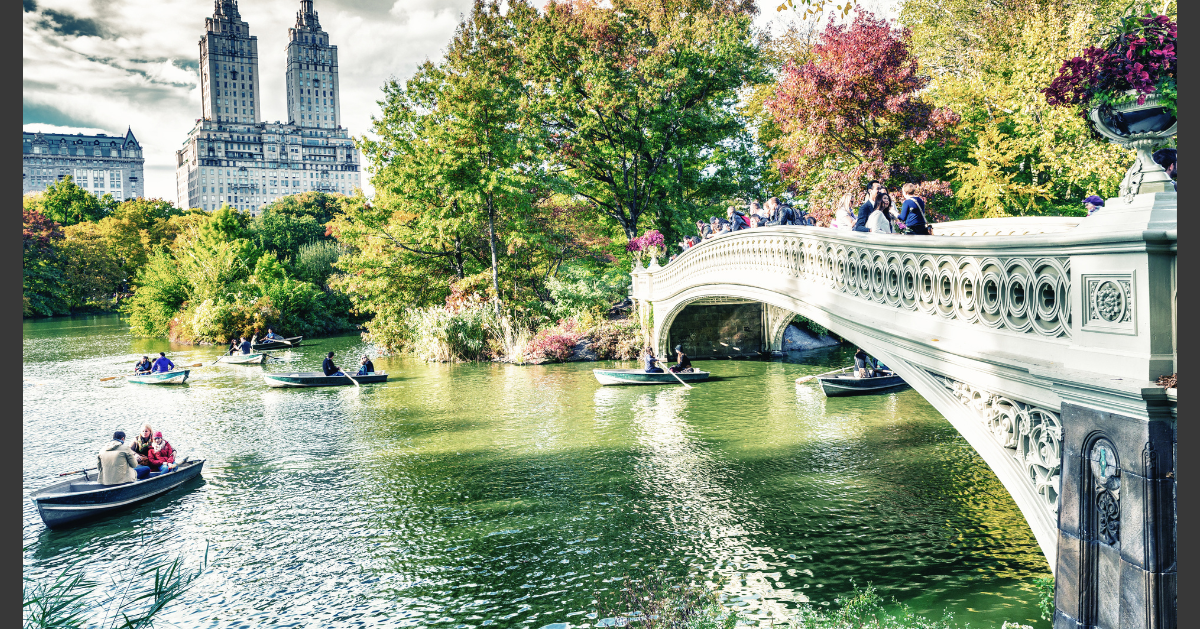 central park 3.png