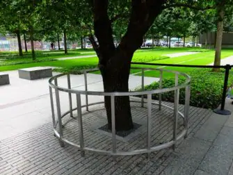 Mémorial du 11 septembre à New York - Survivor Tree