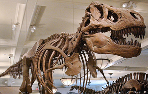 8 attraits touristiques pour visiter New York en famille