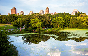 Un Pique-nique à New York