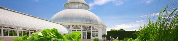 Jardin Botanique 