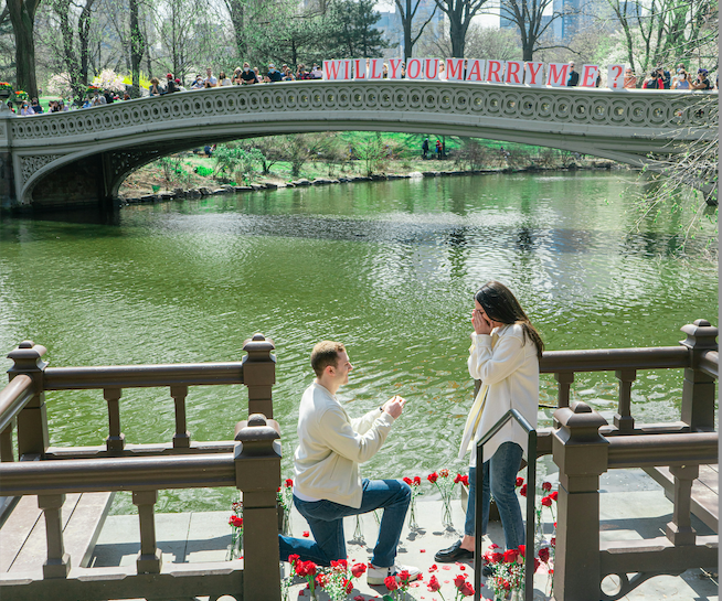 Bow Bridge : Charme architectural au Cœur de Central Park