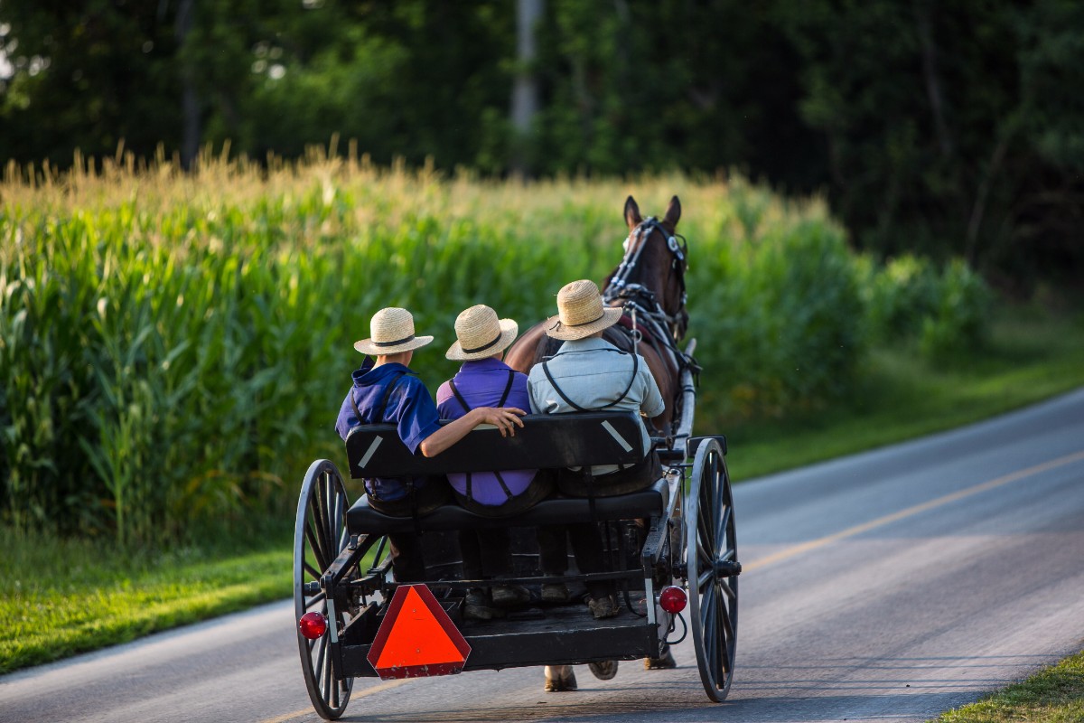 Est-ce que les Amish peuvent boire de l'alcool ?