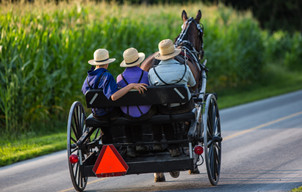 Que faire et voir chez les Amish à Lancaster