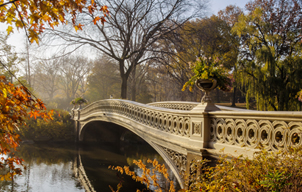 Top 5 des activités à faire en automne à Manhattan, New York