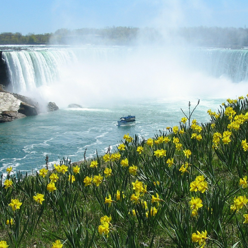 Ontario